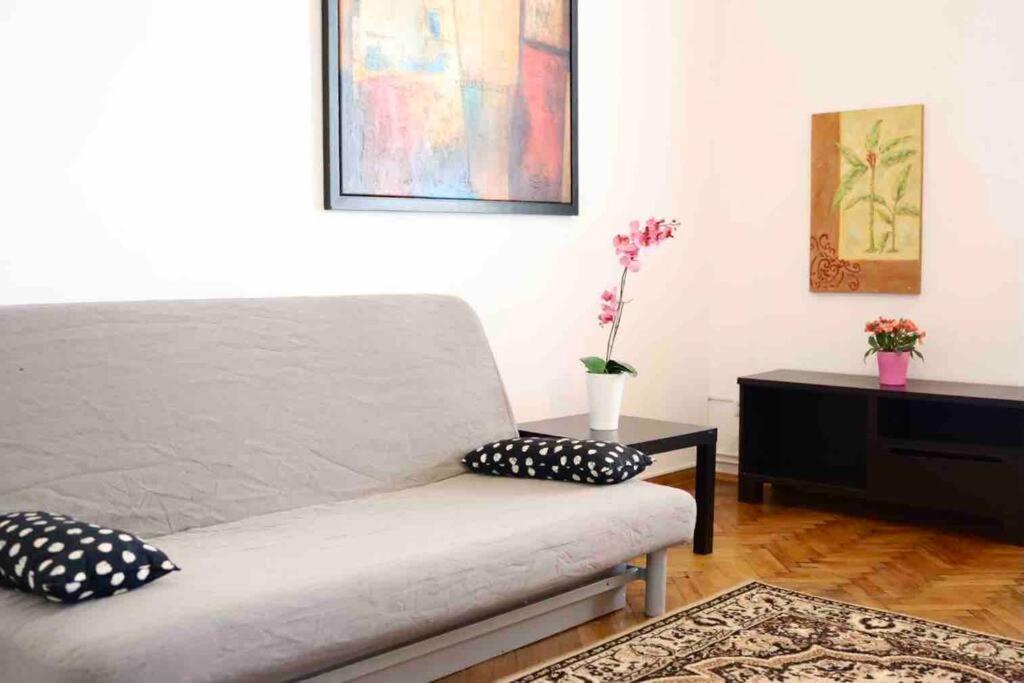 Soltyka 5 Rooms Apartment Cracovie Extérieur photo